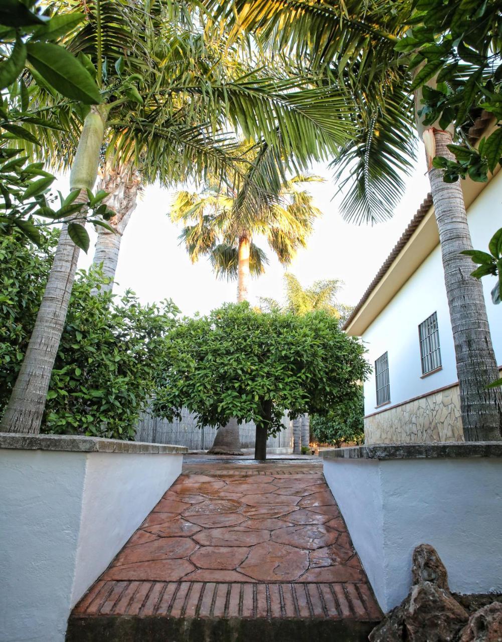 Casa Rural Tipica Andaluza, Wifi,Piscina, Barbacoa, Aire Acondicionado, 5Min Centros Alhaurín el Grande Exterior photo